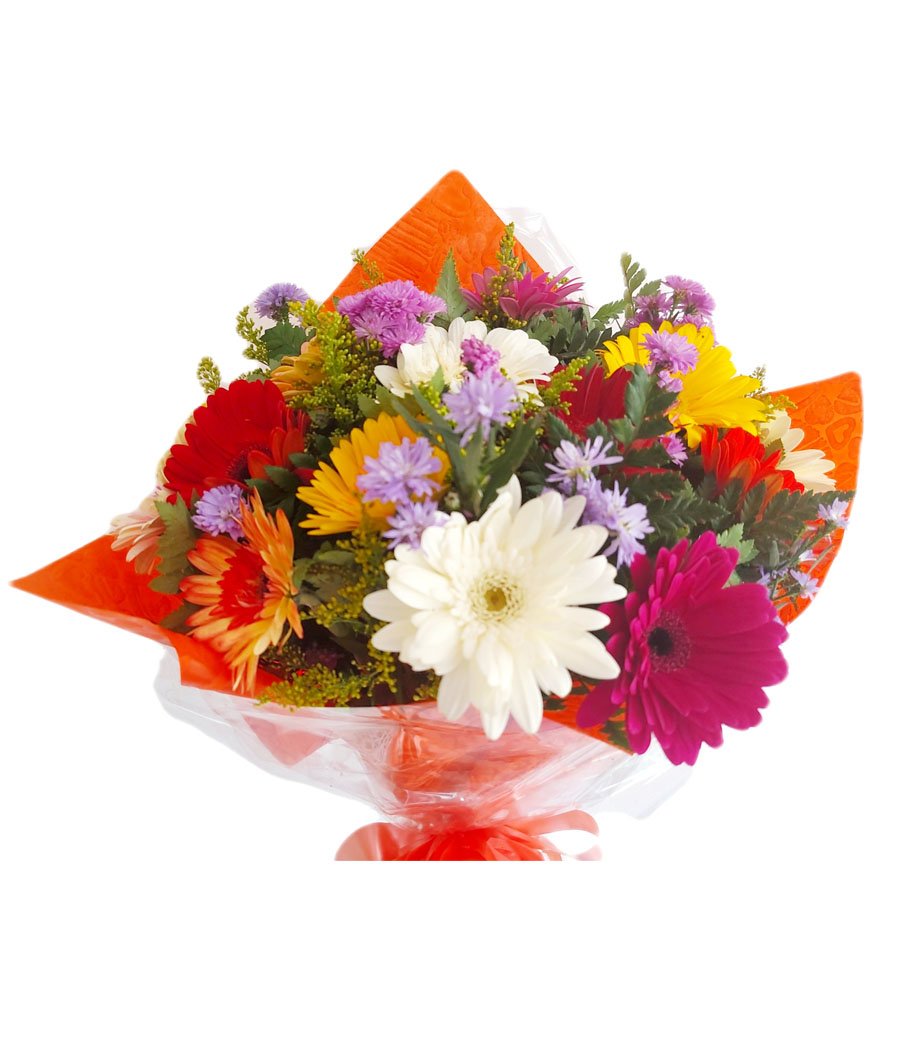 Bouquet de 24 gerberas | Floristeria Mil Flores